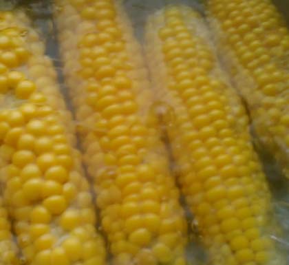 kukuruz, priprema kukuruza, kuvani kukuruz, kukuruz secerac